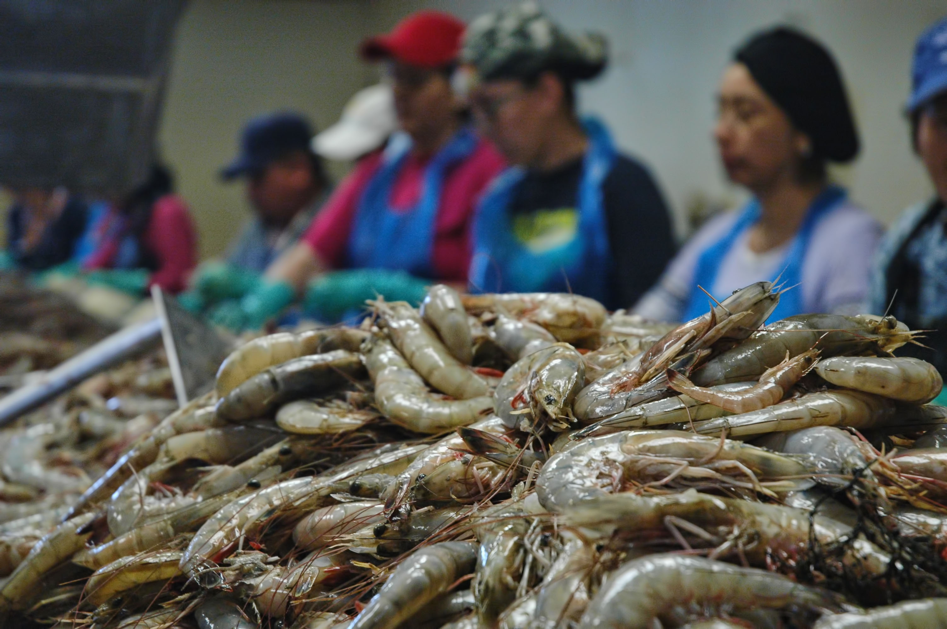 Seafood processor meeting set for Jan. 30 in Baton Rouge 